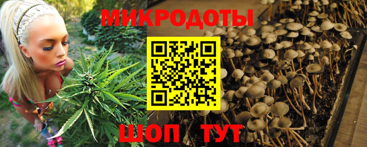 Юрга  Галлюциногенные грибы GOLDEN TEACHER  Вход с VPN  Псилоцибиновые грибы Magic Shrooms 