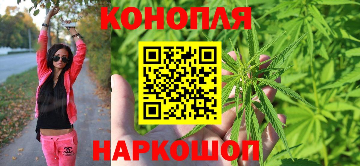 Бошки марихуана ГИДРОПОН  Шишки марихуана конопля  Юрга  МАРИХУАНА MAZAR  Конопля планчик  Вход с VPN 